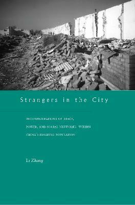 Strangers in the City(English, Paperback, Zhang Li)