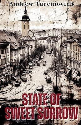 State of Sweet Sorrow(English, Paperback, Turcinovich Andrew)