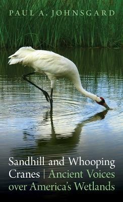 Sandhill and Whooping Cranes(English, Paperback, Johnsgard Paul A.)