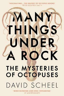 Many Things Under a Rock(English, Hardcover, Scheel David)