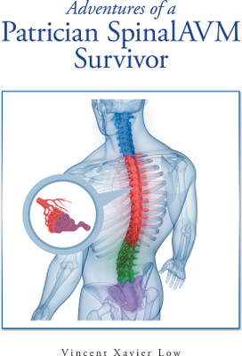 Adventures of a Patrician SpinalAVM Survivor(English, Paperback, Low Vincent Xavier)