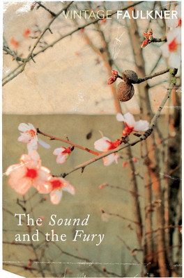 The Sound and the Fury(English, Paperback, Faulkner William)