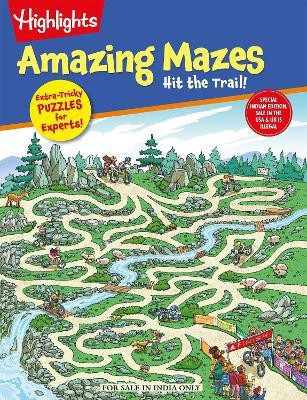Amazing Mazes(English, Paperback, unknown)