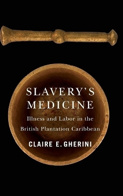 Slavery's Medicine(English, Hardcover, Gherini Claire E.)