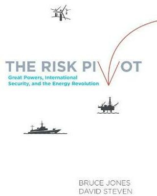 The Risk Pivot(English, Paperback, Jones Bruce D.)