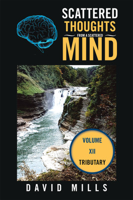Scattered Thoughts From a Scattered Mind(English, Hardcover, Mills David)