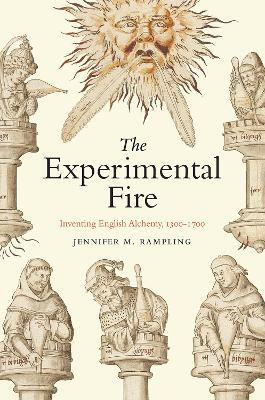 The Experimental Fire(English, Paperback, Rampling Jennifer M)