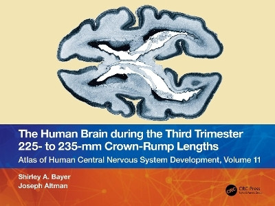 The Human Brain during the Third Trimester 225- to 235-mm Crown-Rump Lengths(English, Paperback, Bayer Shirley A.)