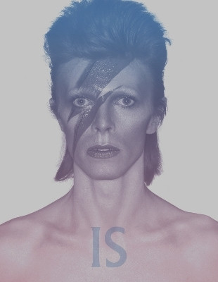 David Bowie Is(English, Paperback, unknown)