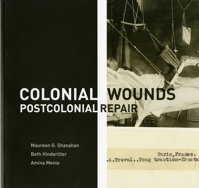Colonial Wounds/Postcolonial Repair(English, Paperback, Menia Amina)