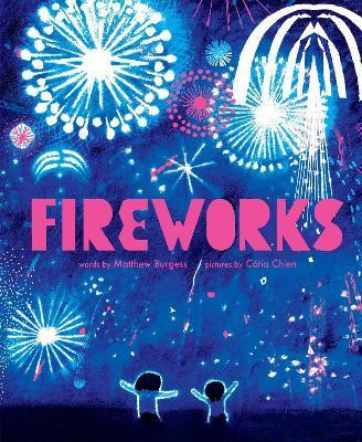 Fireworks(English, Hardcover, Burgess Matthew)