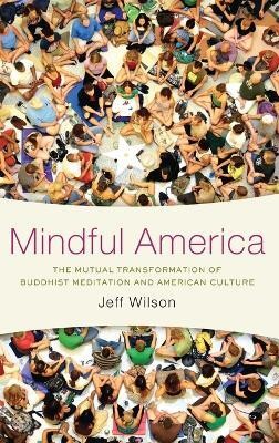 Mindful America(English, Hardcover, Wilson Jeff)