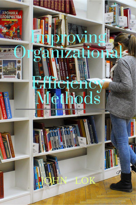 Improving Organizational Efficiency Methods(English, Paperback, John Lok)