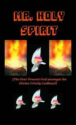 Mr Holy Spirit(English, Paperback, Baiden-Adams Rev. Dr. Paul)