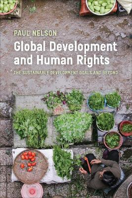 Global Development and Human Rights(English, Electronic book text, Nelson Paul)