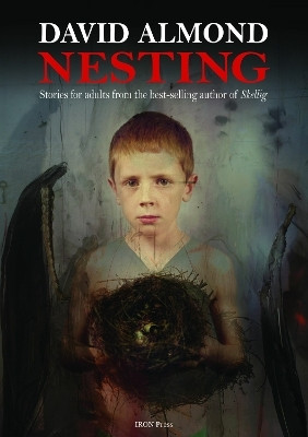 Nesting(English, Paperback, Almond David)