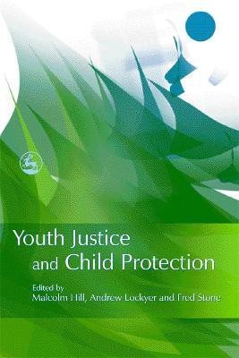 Youth Justice and Child Protection(English, Paperback, unknown)