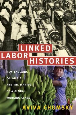Linked Labor Histories(English, Paperback, Chomsky Aviva)