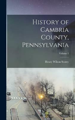 History of Cambria County, Pennsylvania; Volume 1(English, Hardcover, Storey Henry Wilson)