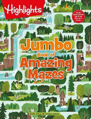 Jumbo Book of Amazing Mazes(English, Paperback, unknown)
