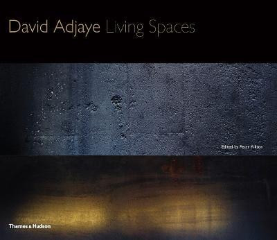 David Adjaye(English, Hardcover, unknown)