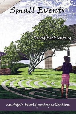 Small Events(English, Paperback, Mecklenburg David)