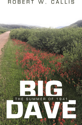 Big Dave(English, Paperback, Callis Robert W)