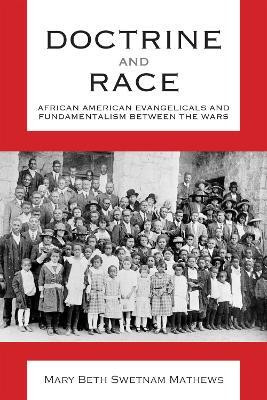 Doctrine and Race(English, Paperback, Mathews Mary Beth Swetnam)
