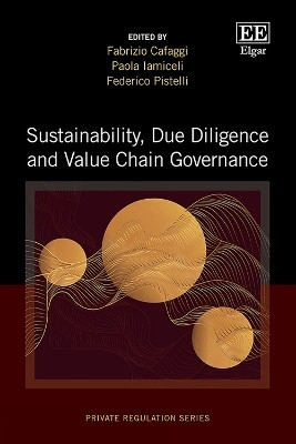 Sustainability, Due Diligence and Value Chain Governance(English, Hardcover, unknown)