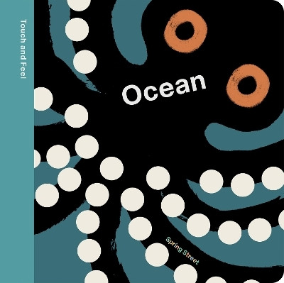 Spring Street Touch and Feel: Ocean(English, Board book, Boxer Books)