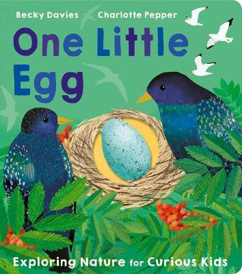 One Little Egg(English, Board book, Davies Becky)