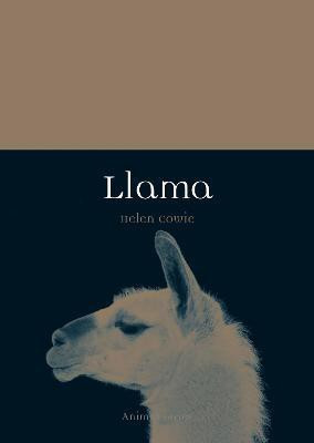 Llama(English, Paperback, Cowie Helen)