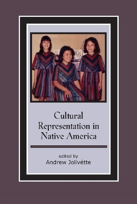 Cultural Representation in Native America(English, Paperback, unknown)