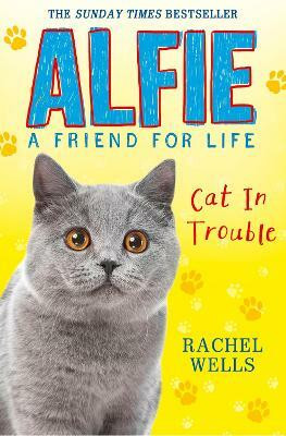Alfie Cat in Trouble(English, Paperback, Wells Rachel)