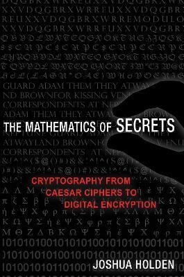 The Mathematics of Secrets(English, Paperback, Holden Joshua)