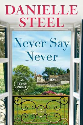 Never Say Never(English, Paperback, Steel Danielle)