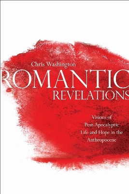 Romantic Revelations(English, Hardcover, Washington Chris)