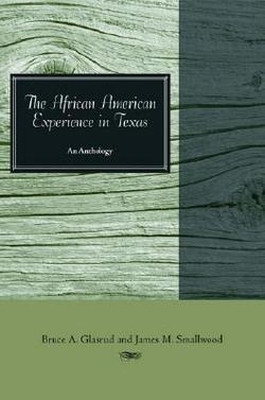 The African American Experience in Texas(English, Paperback, Smallwood James M.)