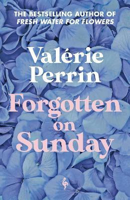 Forgotten on Sunday(English, Paperback, Perrin Valerie)