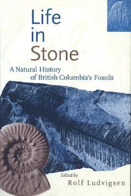 Life in Stone(English, Paperback, unknown)