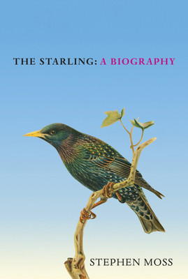 The Starling(English, Hardcover, Moss Stephen)