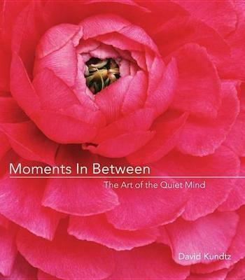 Moments in Between(English, Paperback, Kundtz J David)