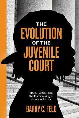 The Evolution of the Juvenile Court(English, Paperback, Feld Barry C.)