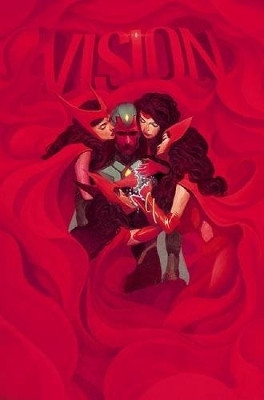Vision Vol. 2: Little Better Than A Beast(English, Paperback, King Tom)