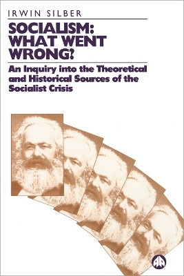 Socialism: What Went Wrong?(English, Paperback, Silber Irwin)