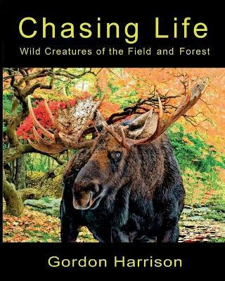 Chasing Life(English, Paperback, Harrison Gordon)
