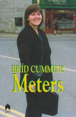 Meters(English, Paperback, Cummins Brid)