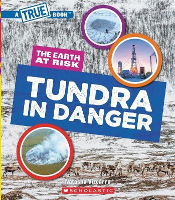Tundra in Danger (a True Book: The Earth at Risk)(English, Hardcover, Vizcarra Natasha)