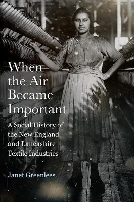 When the Air Became Important(English, Electronic book text, Greenlees Janet)