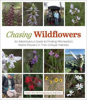 Chasing Wildflowers(English, Hardcover, Root Phyllis)